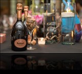 Ruinart Tasting Experience